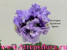 DS-�����, 1405