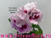 DS-Handsome, 2622